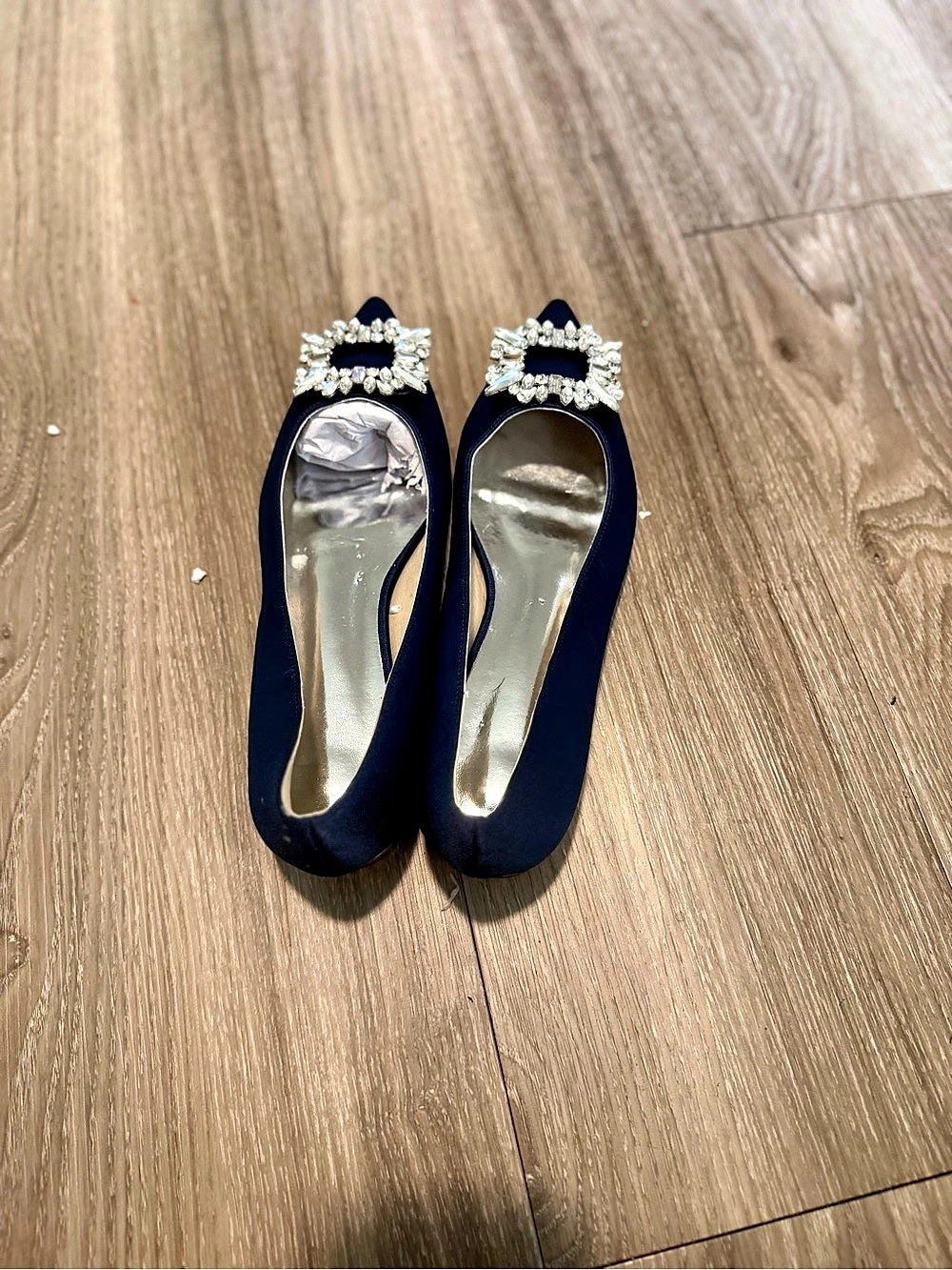 Manolo Blahnik Hangisi Satin Flat Blue Heels